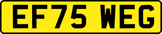 EF75WEG