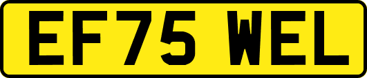 EF75WEL