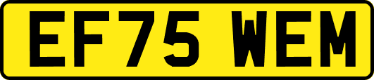 EF75WEM