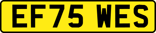 EF75WES