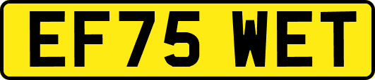 EF75WET