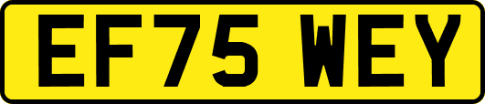 EF75WEY