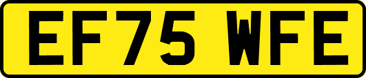 EF75WFE