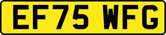 EF75WFG