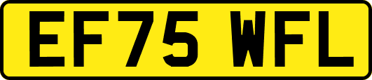 EF75WFL