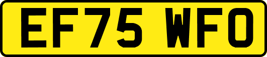 EF75WFO