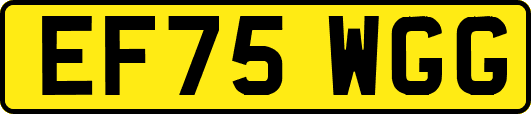 EF75WGG