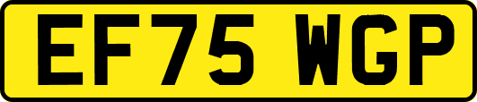 EF75WGP