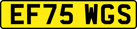 EF75WGS
