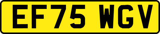 EF75WGV