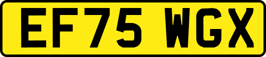 EF75WGX