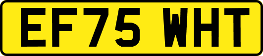 EF75WHT