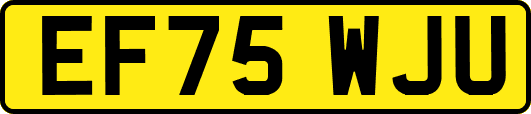EF75WJU