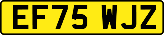 EF75WJZ