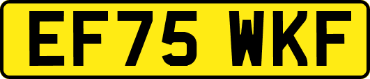 EF75WKF