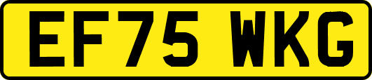 EF75WKG