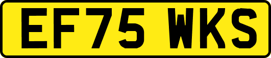 EF75WKS