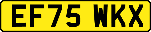EF75WKX