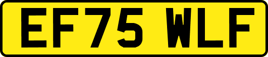EF75WLF