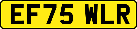 EF75WLR