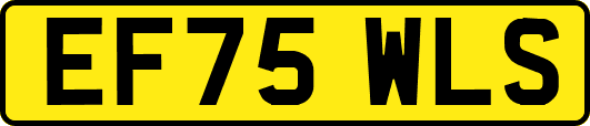 EF75WLS