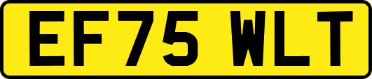 EF75WLT