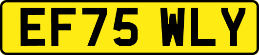 EF75WLY