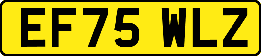 EF75WLZ