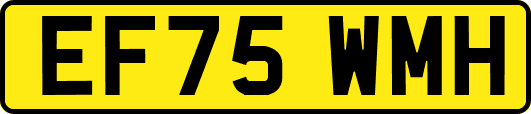 EF75WMH