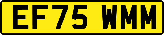 EF75WMM