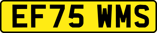 EF75WMS