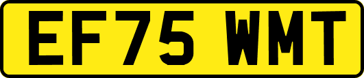 EF75WMT