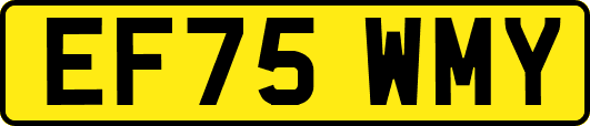 EF75WMY