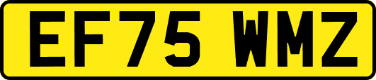 EF75WMZ