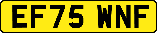 EF75WNF