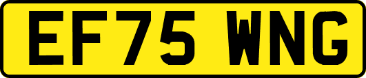 EF75WNG