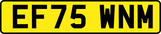 EF75WNM
