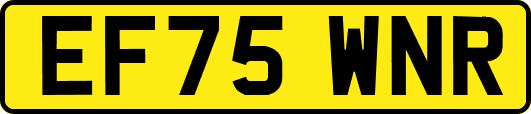 EF75WNR