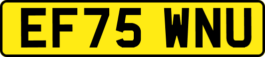 EF75WNU