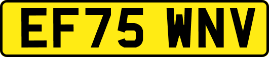 EF75WNV