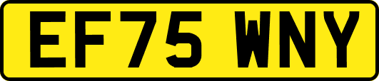 EF75WNY