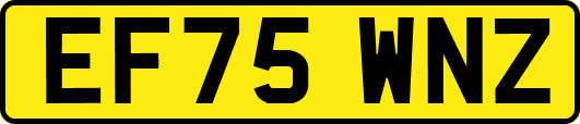 EF75WNZ