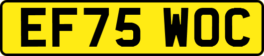 EF75WOC