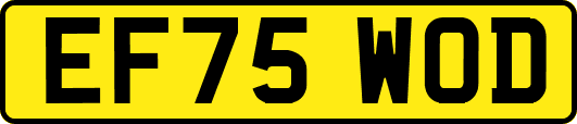 EF75WOD