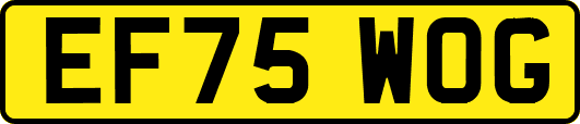 EF75WOG