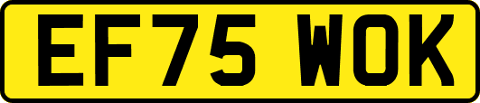 EF75WOK