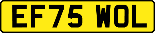 EF75WOL