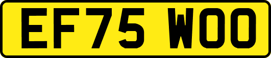EF75WOO