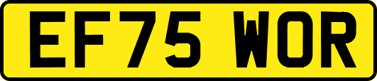 EF75WOR