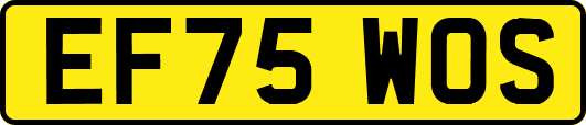 EF75WOS